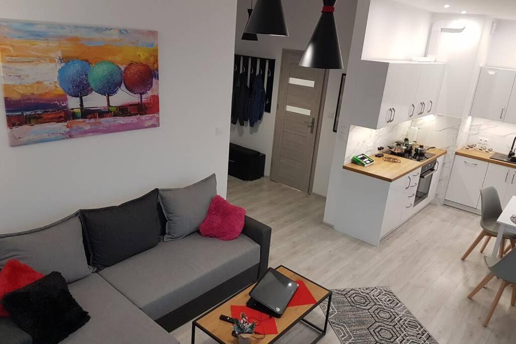 Komfortowy Nowoczesny Apartament Kustronia Z Garazem Balkonem Wanna Bielsko-Biala Exterior photo