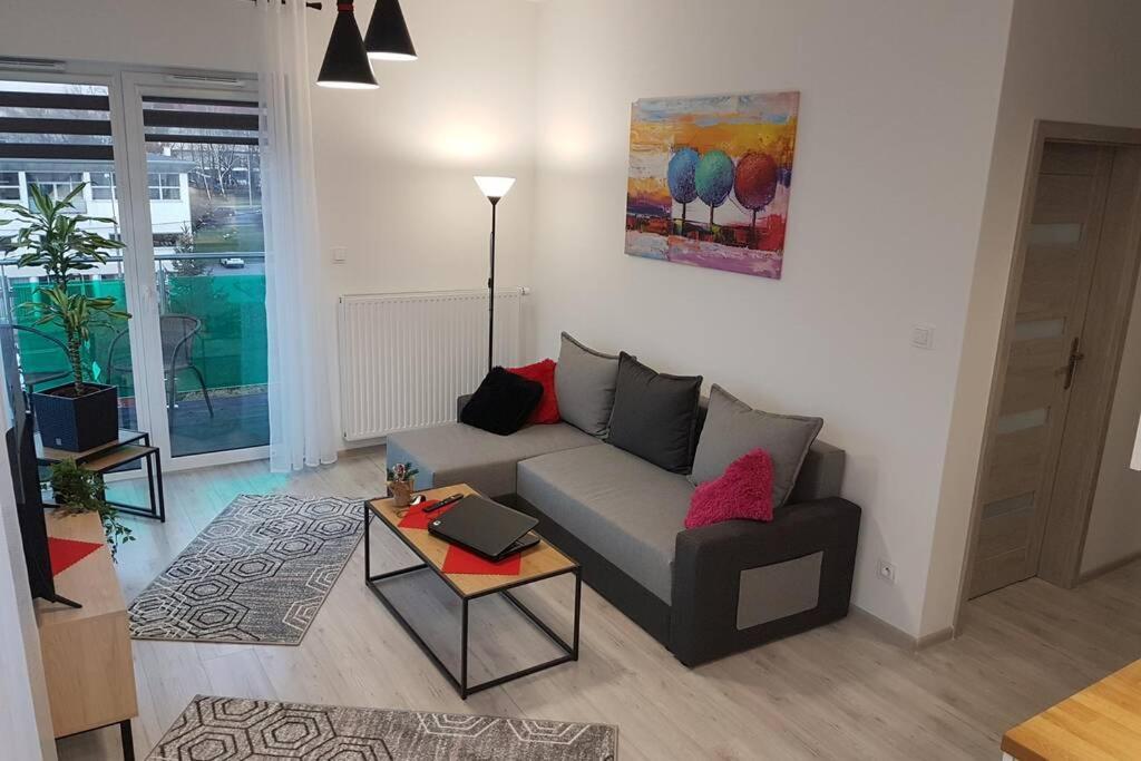Komfortowy Nowoczesny Apartament Kustronia Z Garazem Balkonem Wanna Bielsko-Biala Exterior photo